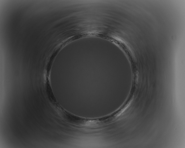 X0000089661161200706281316