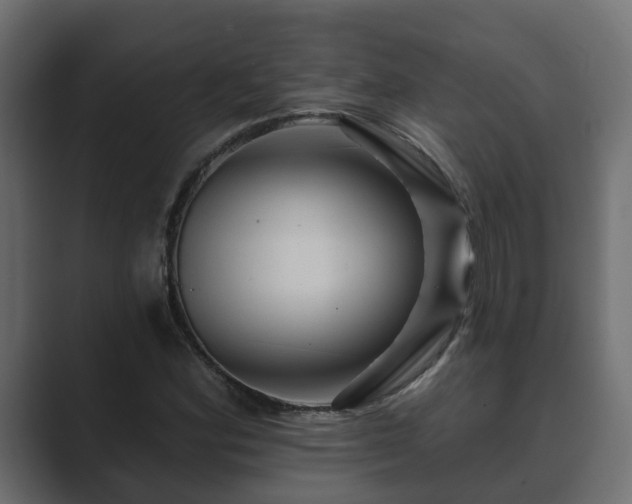 X0000089661164200706281316