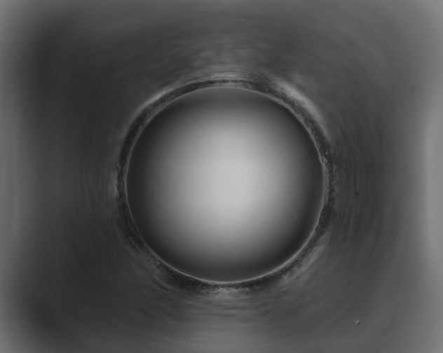 X0000089661166200706281316