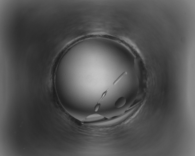 X0000089661167200706281316