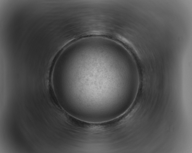 X0000089661170200706281316