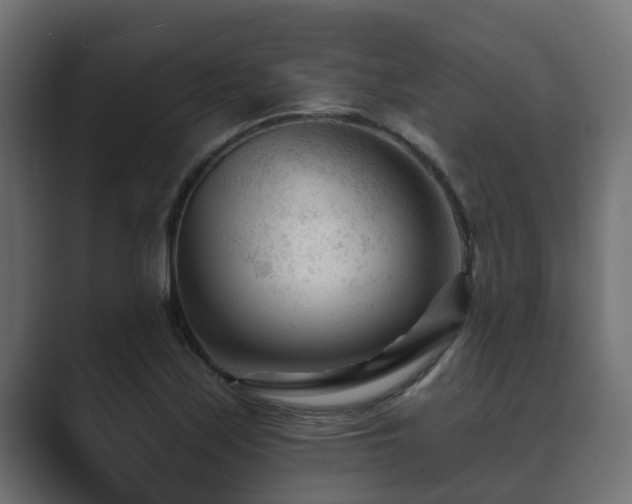 X0000089661171200706281316