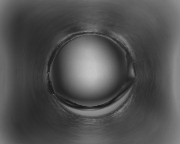 X0000089661172200706281316