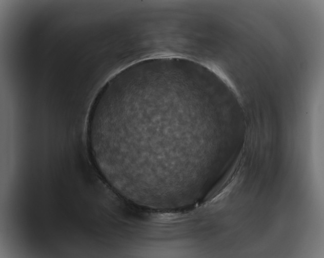 X0000089661173200706281316