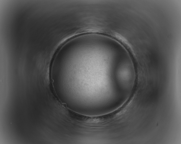 X0000089661174200706281316