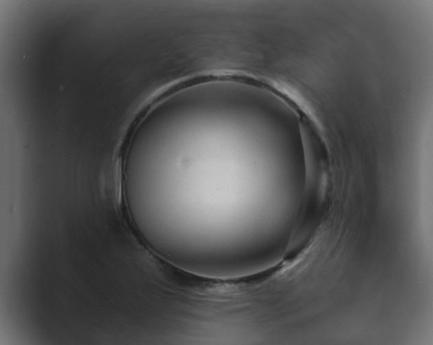 X0000089661175200706281316