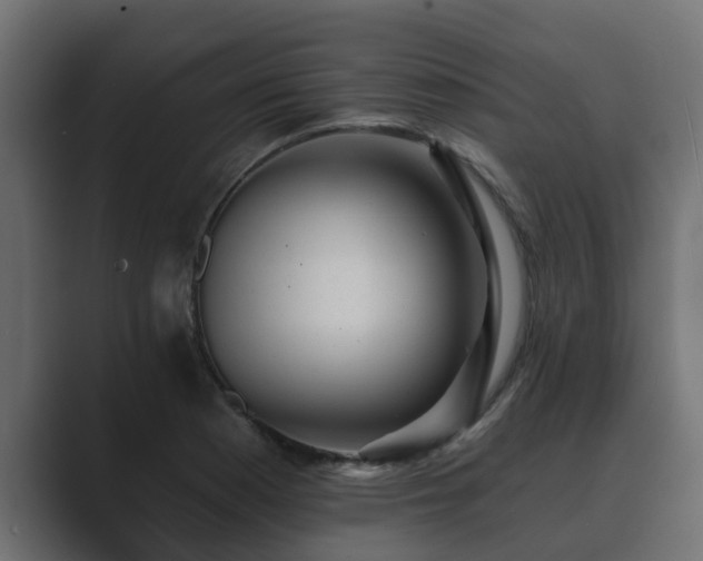 X0000089661177200706281316