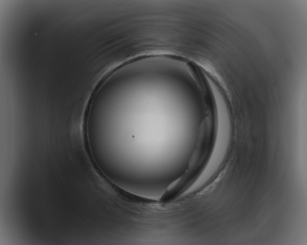 X0000089661181200706281316
