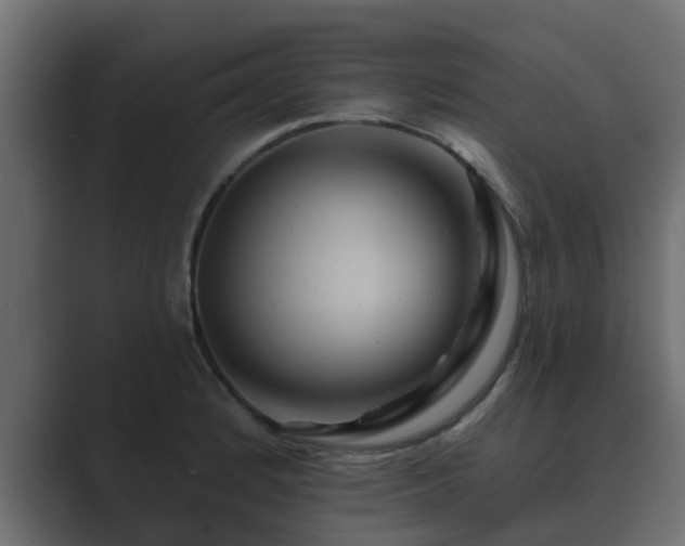 X0000089661184200706281316