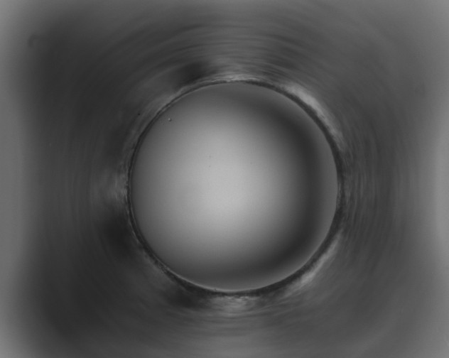 X0000089661185200706281316