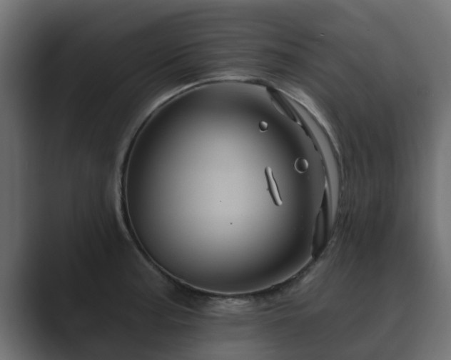 X0000089661187200706281316