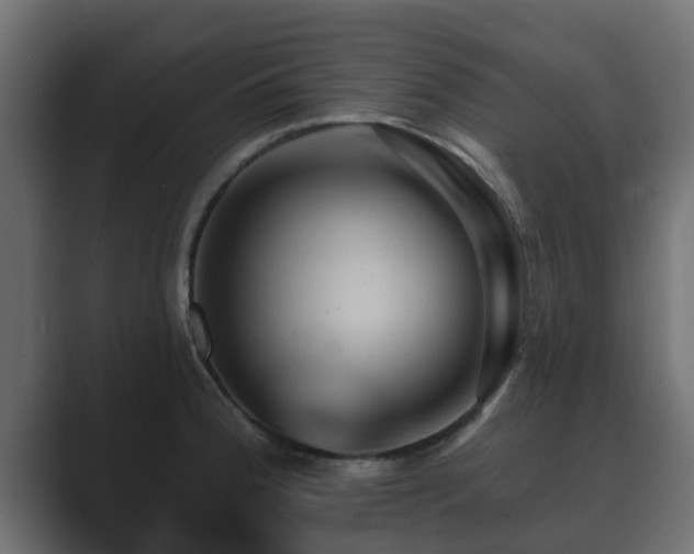 X0000089661188200706281316