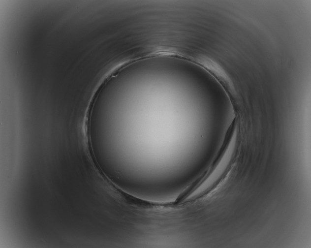 X0000089661190200706281316