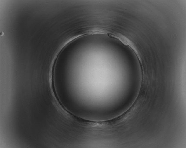 X0000089661195200706281316