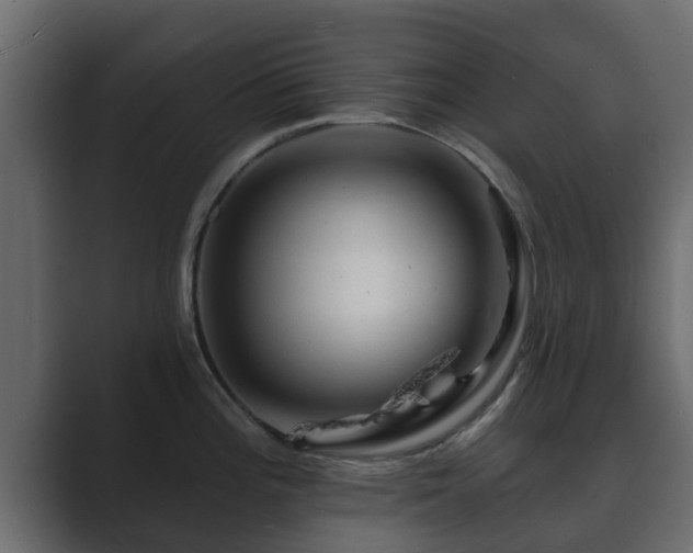 X0000089661196200706281316
