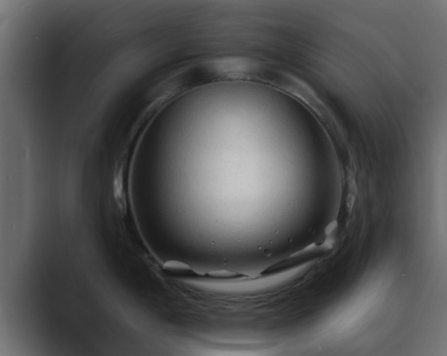 X0000089661198200706281315