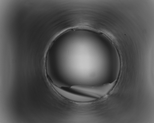 X0000089661200200706281315