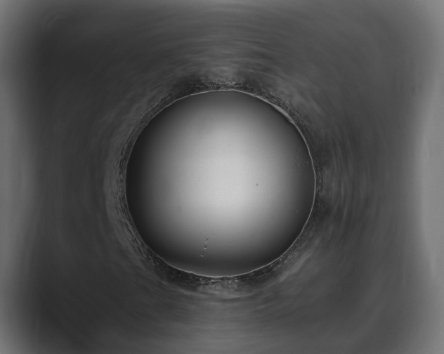 X0000089661201200706281315