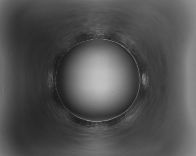X0000089661203200706281315