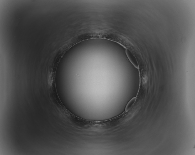 X0000089661204200706281315