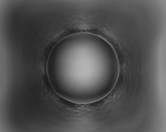 X0000089661205200706281315