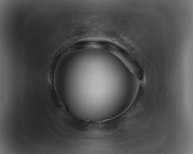 X0000089661206200706281315