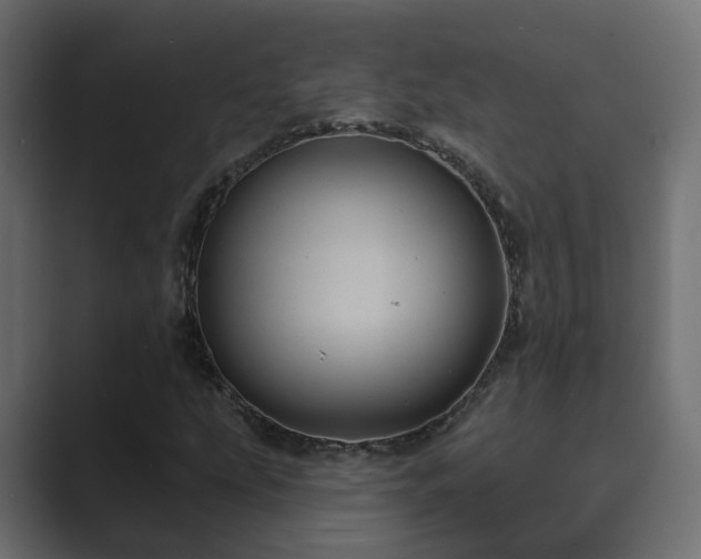 X0000089661207200706281315