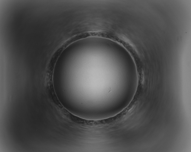 X0000089661208200706281315