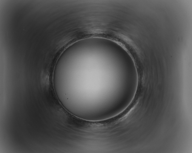 X0000089661209200706281315