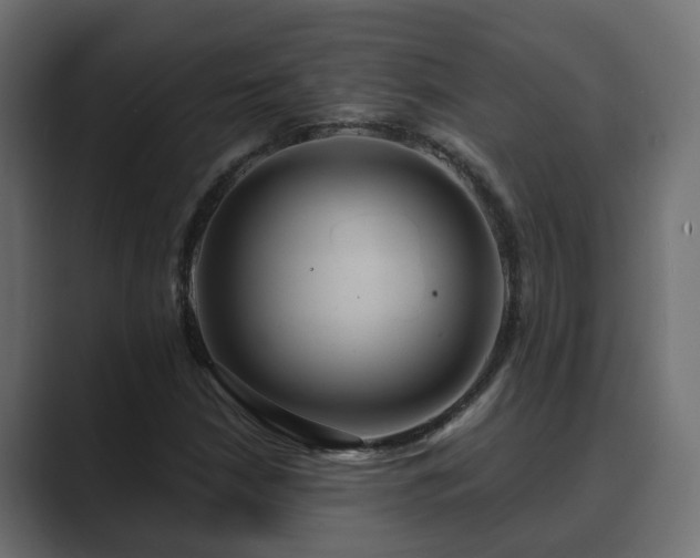 X0000089661210200706281315