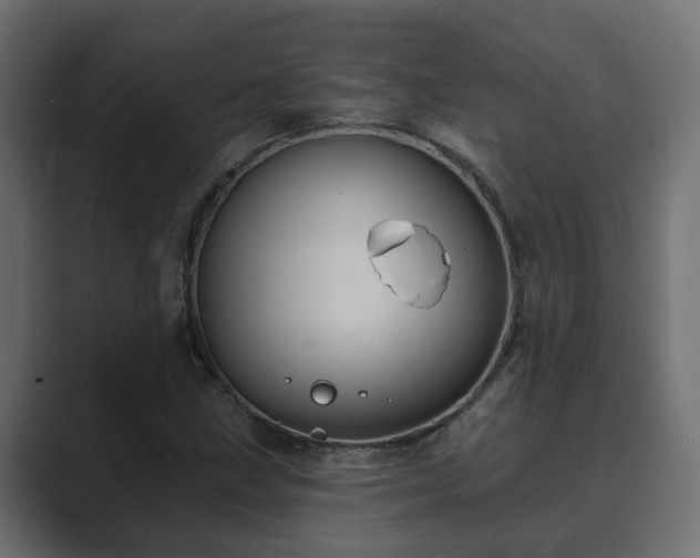 X0000089661211200706281315