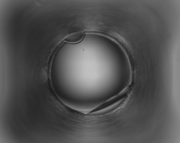 X0000089661212200706281315