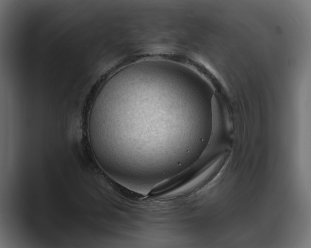 X0000089661213200706281315