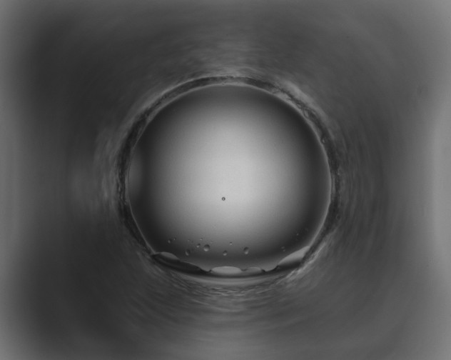 X0000089661215200706281315