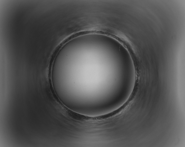 X0000089661216200706281315