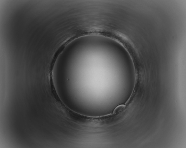 X0000089661217200706281315