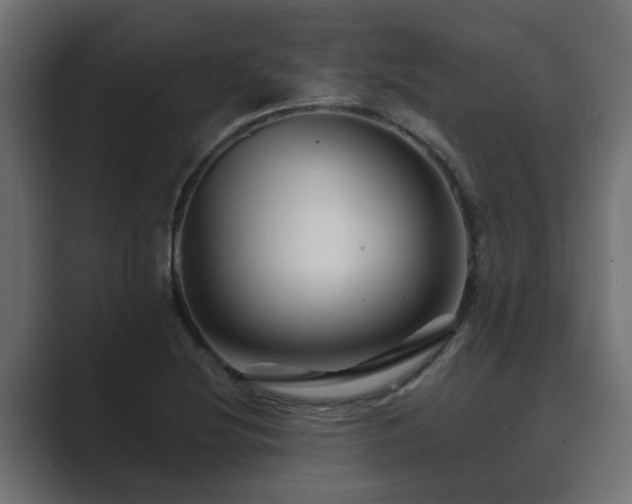 X0000089661220200706281315