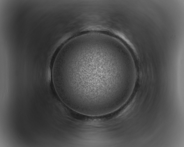 X0000089661221200706281315
