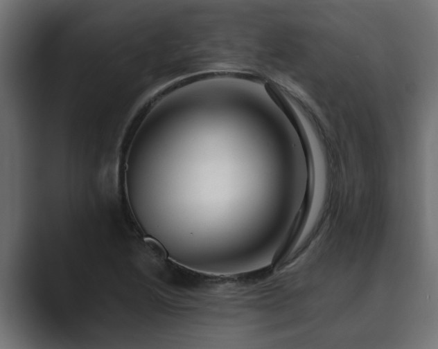 X0000089661222200706281315