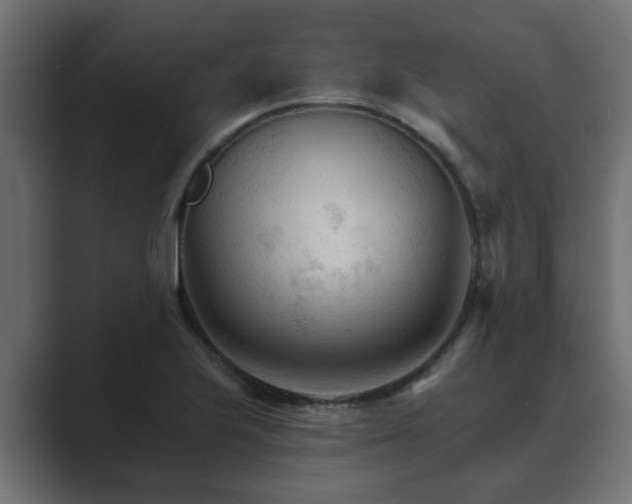 X0000089661223200706281315