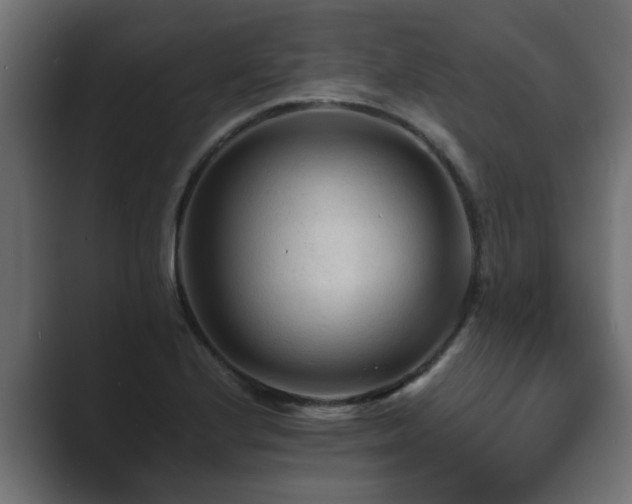 X0000089661224200706281315