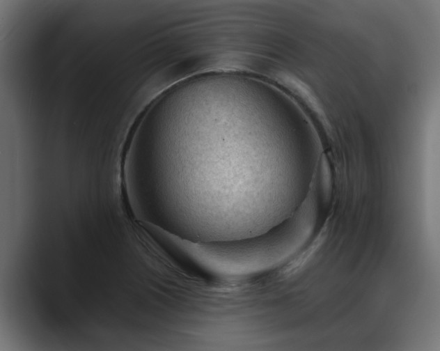 X0000089661226200706281315