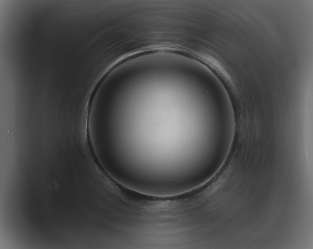 X0000089661228200706281315