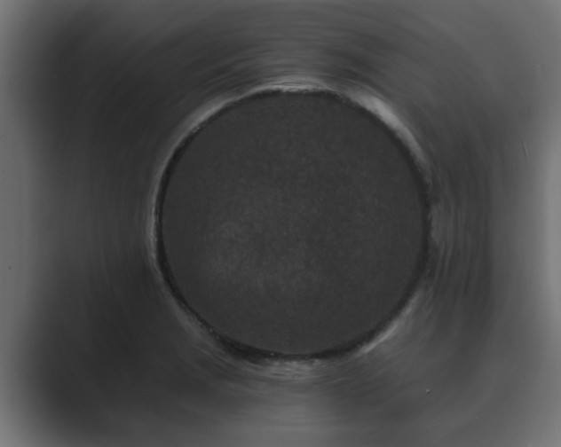 X0000089661229200706281315