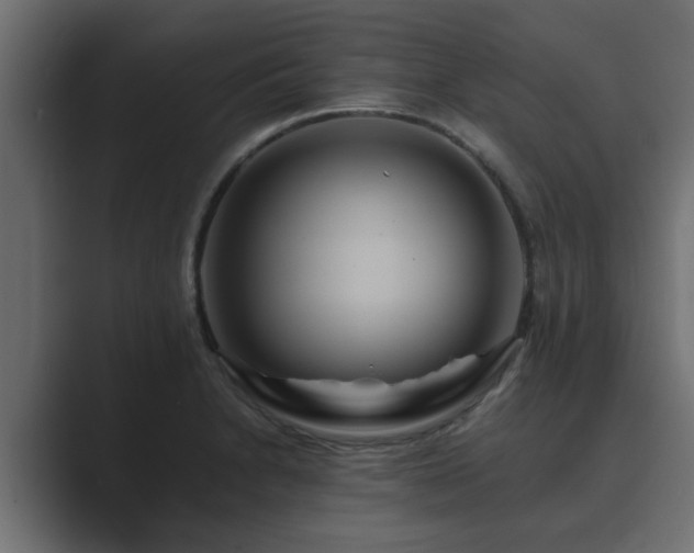 X0000089661230200706281315