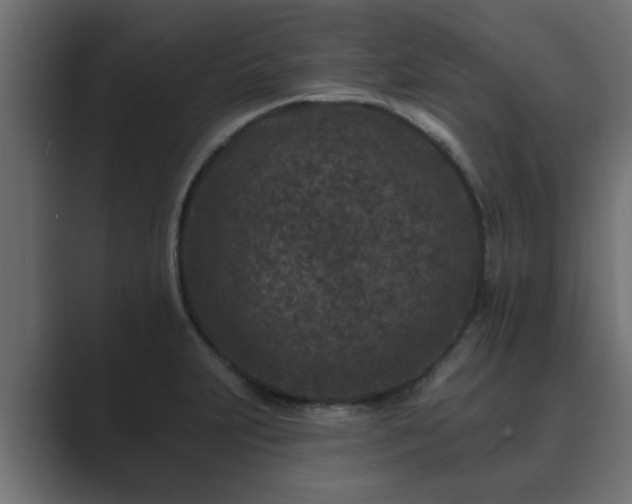 X0000089661231200706281315