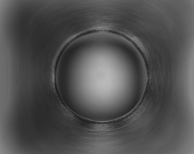 X0000089661232200706281315