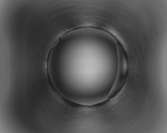 X0000089661234200706281315