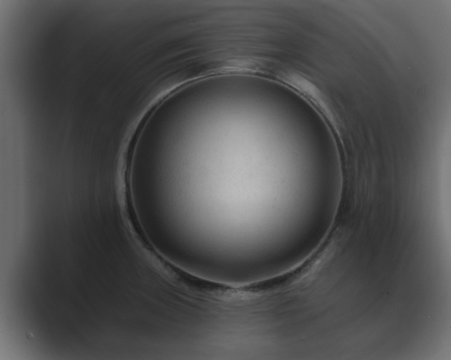 X0000089661235200706281315