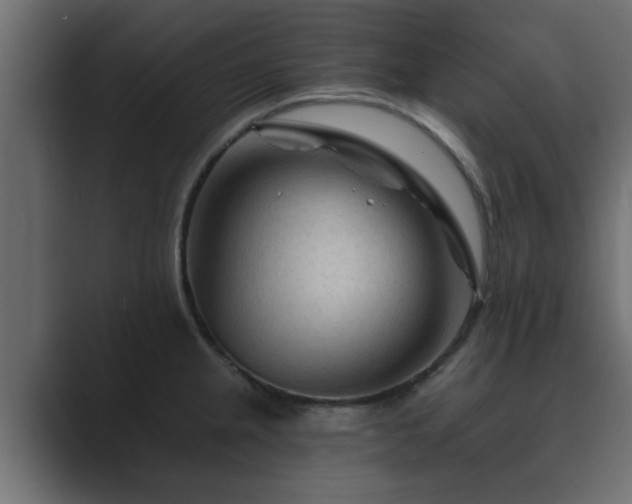 X0000089661237200706281315